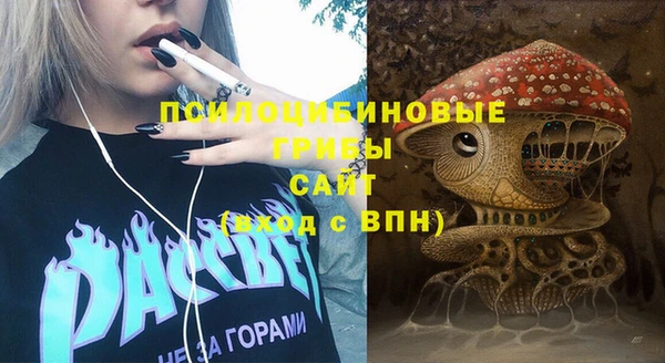 кристаллы Дмитриев