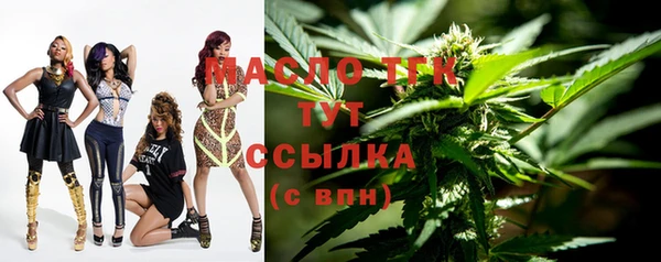 твердый Дмитров