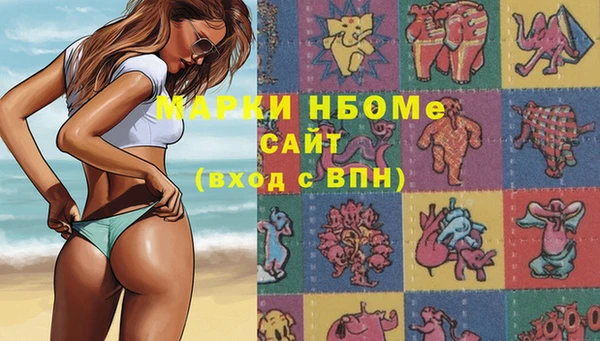 твердый Дмитров