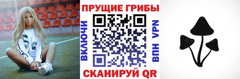 Псилоцибиновые грибы Cubensis Нальчик