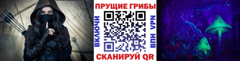 Галлюциногенные грибы мухоморы  где продают   Нальчик 
